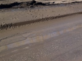 Купить детергент, купить химию для мойки асфальта, дорог, туннелей, бордюров, придомовых территорий, химия для нужд ЖКХ, мойка и уборка подъездов, автотранспорта